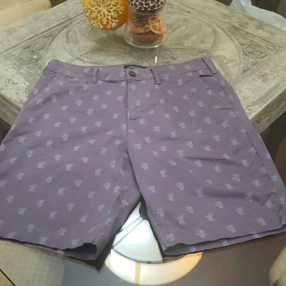 AMERICAN EAGLE OUTFITERS Mens Gray SHORTS 32